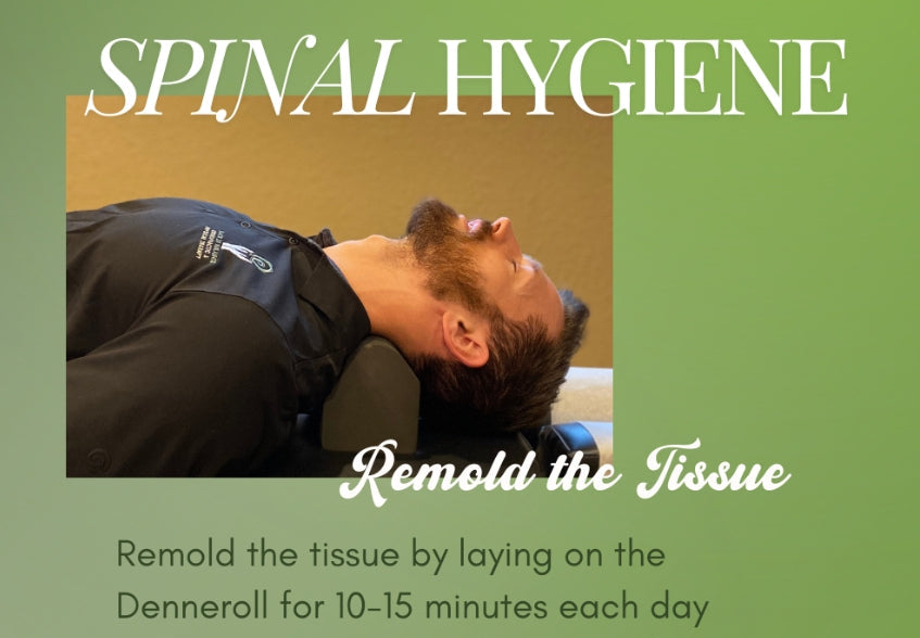 Denneroll- Cervical Spinal Health - Medium