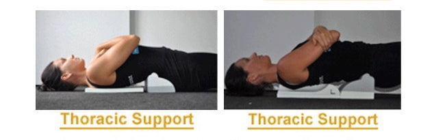 Denneroll- Lumbar Spinal Health - Medium