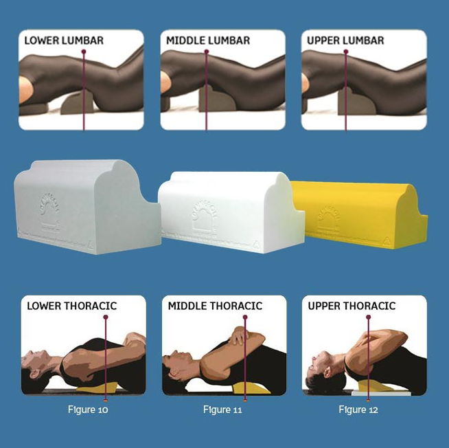 Denneroll- Lumbar Spinal Health - Medium