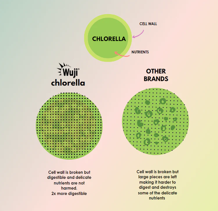 Organic Wuji Chlorella
