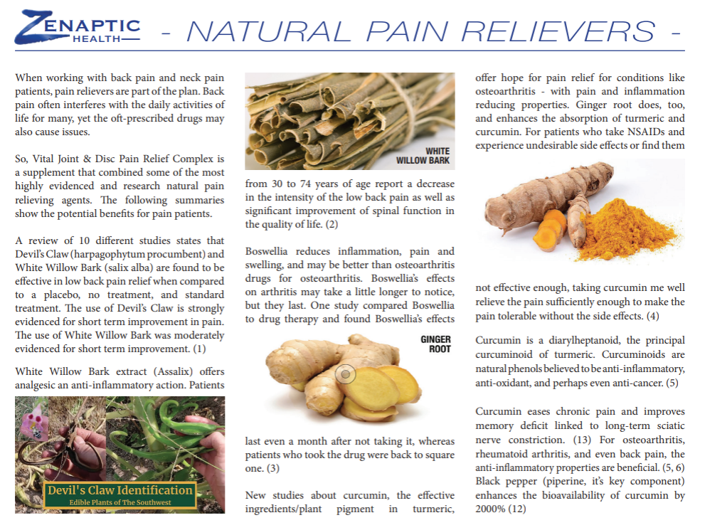 NEW Vital Joint & Disc - Pain Relief Complex